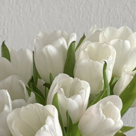 Sản phẩm tulip 2031